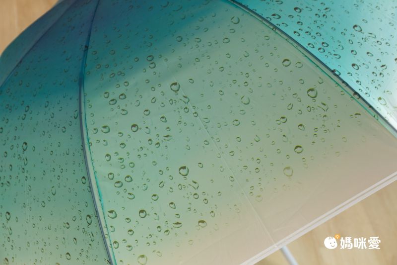 日本中谷 - [日雜推薦] 各種貓咪透明傘/雨傘-粉紫 (傘骨60cm)