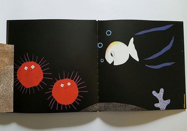 跟小白魚一起玩躲貓貓