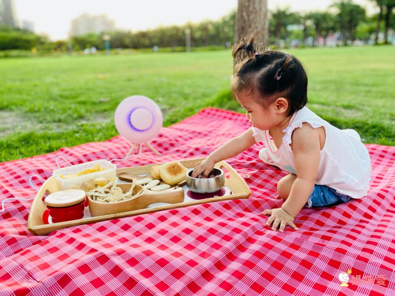 用到小學沒問題【Avanchy】分隔吸盤餐盤，自主吃飯首選