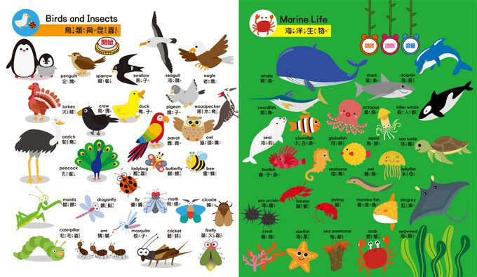 寶貝的第一本觸控點讀有聲書 學前認知-550單字+中英台3語+23個認知主題+互動遊戲