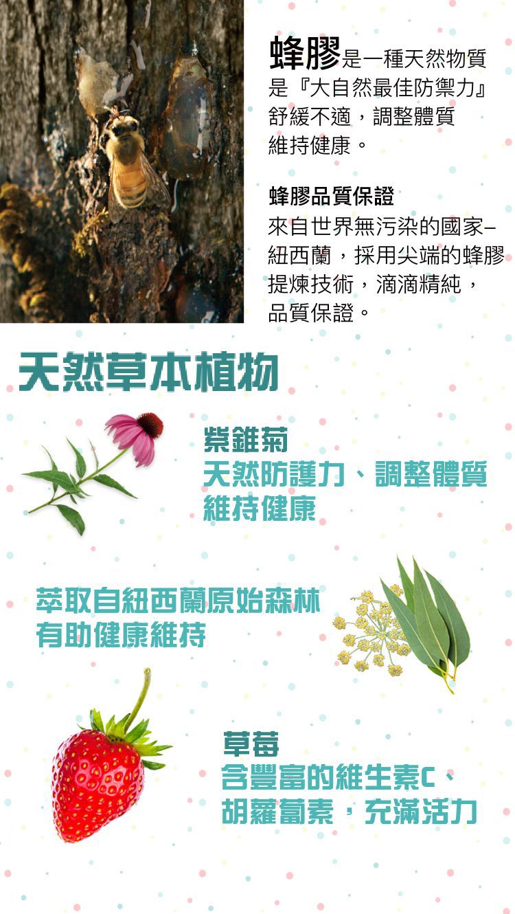 Comvita - 限時優惠組 草莓蜂膠蜜糖露200mlx2瓶  (2022.07)-200ml