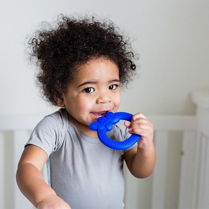 美國 green sprouts - 小綠芽食品安全等級矽膠固齒器-藍漿果