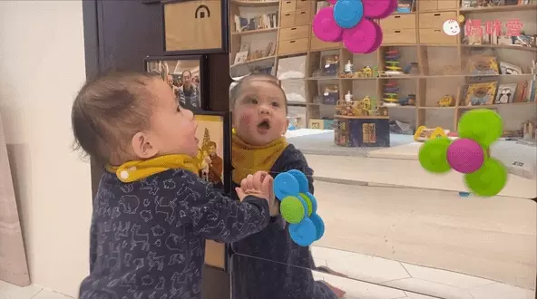 美國 FatBrain - 【熱賣】寶寶指尖陀螺-藍、綠、桃紅各1