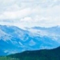 用戶頭像