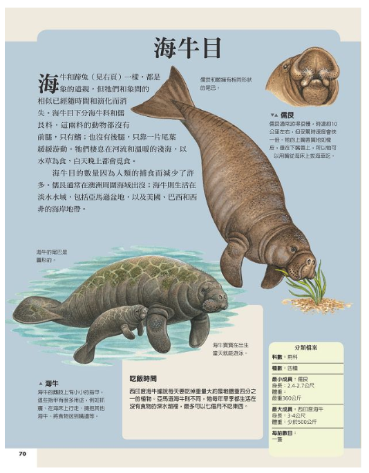 國家地理：哺乳動物圖鑑 (精裝 /93頁 /全彩印刷)