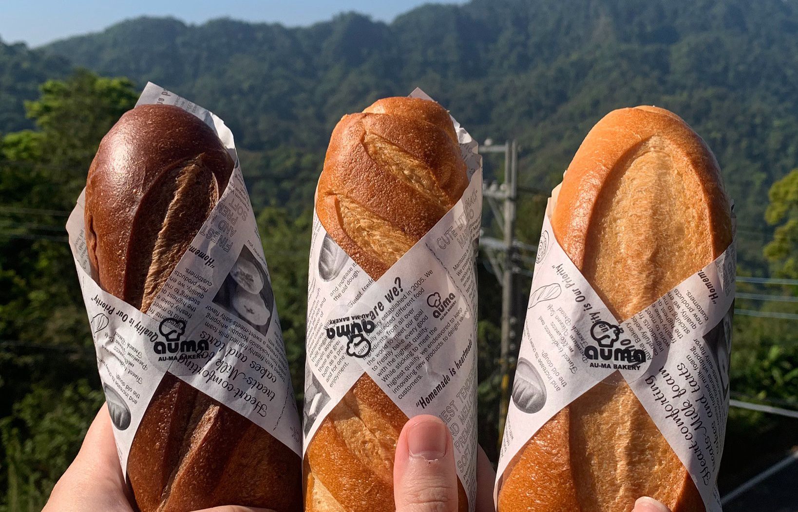 免運｜高雄排隊名店【奧瑪烘焙】日式崎風蛋糕/羅馬生乳包