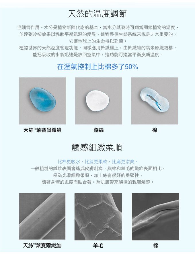 鴻宇 HongYew - 單人床包枕套組 100%天絲萊賽爾-黛特