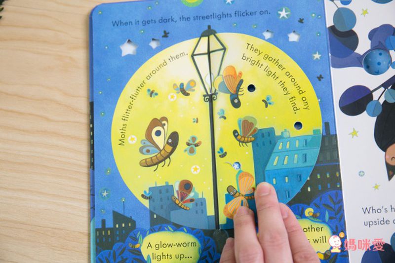 下殺42折！六本精裝只要 $999 ✦ 英國 Usborne ✦ Peep Inside 系列