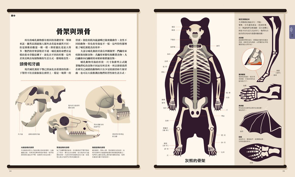 自然大視界：不可思議的生態奧祕圖鑑