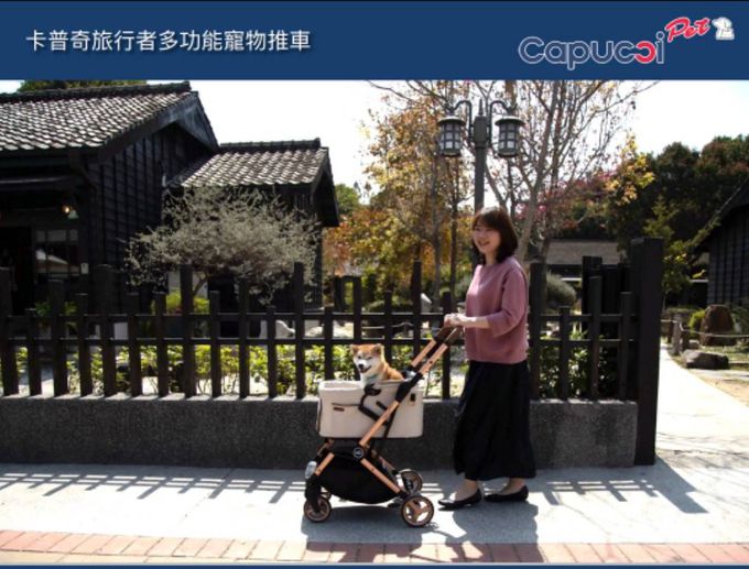 美國卡普奇Capucci - 可分離式座艙自動秒收寵物車-經典灰