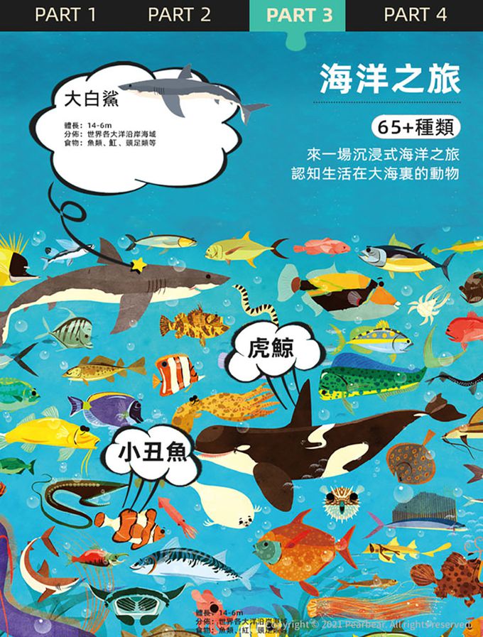 MiDeer - 圓筒百科拼圖-恐龍大陸(126片)